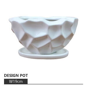 Aؔ  Vv|bg RR081-190 W19cm x D9cm x H9.5cm ꌊL 󂯎Mt 픫 zCg  p`