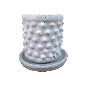 Aؔ fUC|bg RR220-120 4(12cm) 󂯎Mt