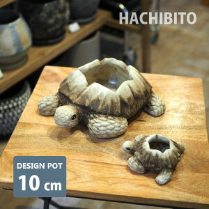 Aؔ  ^[g|bg RR505-105 W10.5cm x D10cm x H4cm ꌊL Aj} T Zg X^CbV