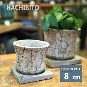 �A�ؔ� ������� �N���b�N�|�b�g RR509-080 2.5��(8cm) ���ꌊ�L�� �󂯎M�t�� �΍ޒ� �Z�����g �X�^�C���b�V��