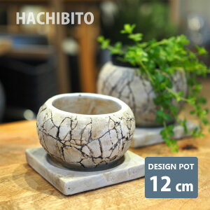 Aؔ  NbN|bg RR510-120 4(12cm) ꌊL 󂯎Mt ΍ޒ Zg X^CbV