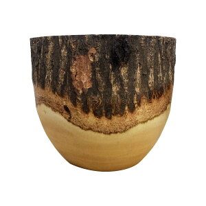 Aؔ  }S[Ebh|bg ST9701-150 5(15cm) / Jo[ VR