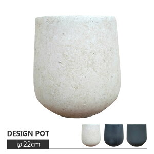 Aؔ  OXt@Co[ Vvv[|bg UN230-220 7(22cm) ꌊL Jo[ t@Co[NC y y ^ AC{[zCg ubN