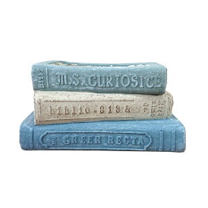 Aؔ  OXt@Co[ ubNfUC|bg UN266-250 W21.5cm x H13.5cm ꌊL t@Co[NC y y p^ IW O[ u[