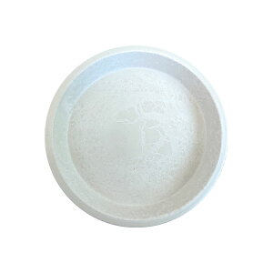 Aؔ vȍ 󂯎M UN312-195 19.5cm 