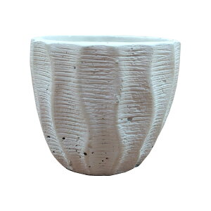 Aؔ  ˂CfGȐAؔ UN430-080 2.5(8cm) ꌊLZg zCg ubN ی^ ̌^ {E