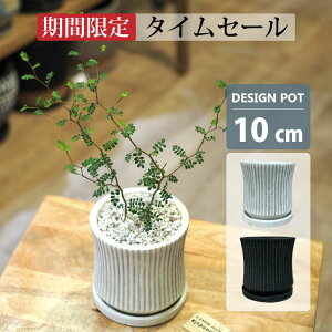 y12/4` ^CZ[ 10OFF N[|zzIzAؔ  AeB[N C|bg UN479-105 3.5(10.5cm) ꌊL 󂯎Mt Zg V_[ ی^ zCg ubN