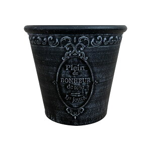 Aؔ  vX`bN [sA|bg UN009-195 6.5(19.5cm) ꌊL y y _ ی^ zCg x[W sN O[ `R[O[