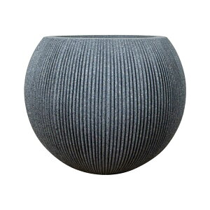 Aؔ  vX`bN o[`JC|bg UN022-370 12(37cm) ^ y y ی^  O[