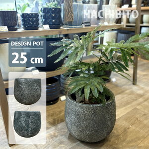 Aؔ  OXt@Co[ teNX`|bg UN239-255 8.5(25.5cm) O[ u[