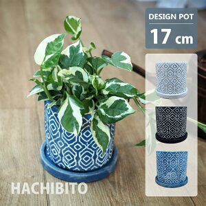 Aؔ  ̐Aؔ UN434-175 5.5(17.5cm) ꌊL 󂯎Mt Zg zCg ubN u[ ی^ V_[