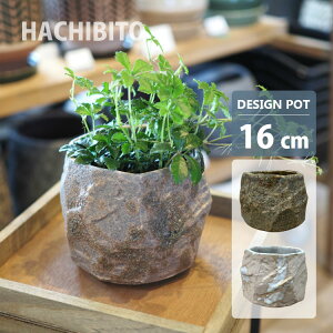 Aؔ  픫 t@[Y|bg UN487-165 5.5(16.5cm) ꌊL _ sNx[W uE