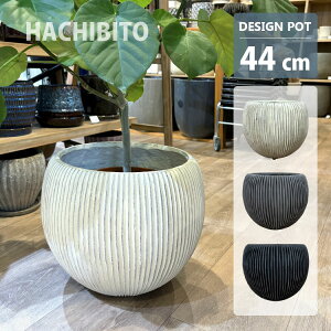 Aؔ  OXt@Co[ o[`JC|bg UN212-445 14.5(44.5cm) zCg O[