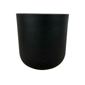 Aؔ  OXt@Co[ VvX^CbV|bg UN231-255 8.5(25.5cm) ꌊL ^ y y t@Co[NC Jo[ zCg ubN