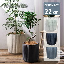楽天市場】植木鉢 7号の通販