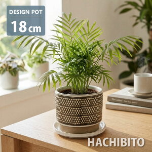 �A�ؔ� ������� ���픫 �h���[�|�b�g YD015-180 6��(18cm) ���ꌊ�L�� �󂯎M�t�� �e�[�u�����V �A�W�A���^�� �y�y���~�A