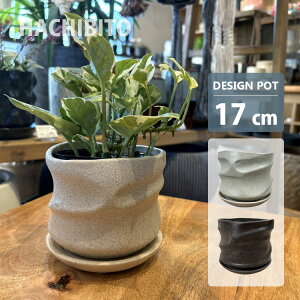 Aؔ  픫 p[eBN|bg YD018-175 5.5(17.5cm) ꌊL 󂯎Mt _ aeCXg ی^ zCg _[NuE
