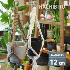 }N vg nMO YD401-120 3-4p  CeA