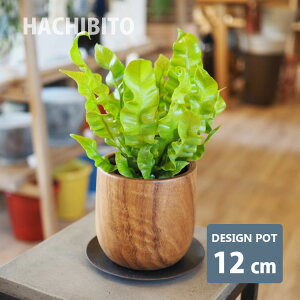 Aؔ  Cނ̃Ebh|bg YS1373-120 4(12cm) ꌊL 󂯎Mt ؐ AJVA _ aeCXg