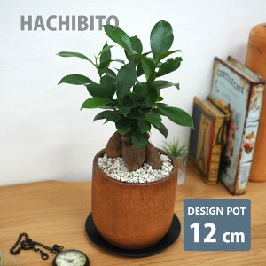 Aؔ  Cނ̃Ebh|bg YS1419-120 4(12cm) ꌊL 󂯎Mt ؐ AJVA _ aeCXg