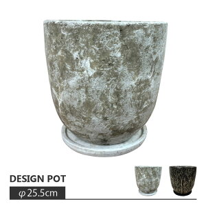 Aؔ  픫 YS4410-255 8.5(25.5cm) CeA _ zCg ubN O[