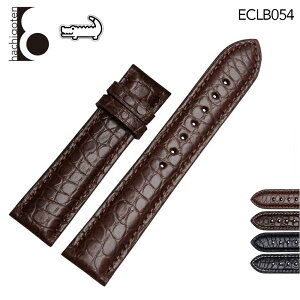 rvxg rvoh ւXgbv ЊOi ėpU[xg / jv t19/20/21/22mm Kp: Patek Philippe pebNEtBbv ()obNȂ [ Eight - ECLB054 ].