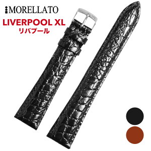 Morellato [g [LIVERPOOL XL ov[ XL] rvp U[xg t:16mm/18mm/20mm ()sobNt [K0751376].
