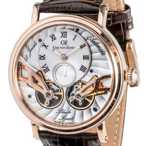 Carl von Zeyten �J�[���E�t�H���E�c�H�C�e�� ���������i�芪���@�\����j �r���v�@[CvZ0017RWH] ���K�㗝�X�i