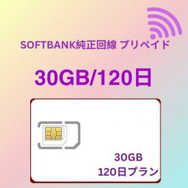 プリペイドSIMカード 30GB 120日 国内データ通信専用 ソフトバング回線（softbank 回線） LTE【送料無料】