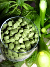 送料無料！ 楽天最安値に挑戦！1週間の明日葉青汁粒トライアル 120粒！原産地店だから鮮度抜群★本物を八丈島から産直♪原産島店価格！【smtb-t】