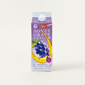 ݂͂hN 500ml 4{ Mtg v[g Hi N I n`~c 