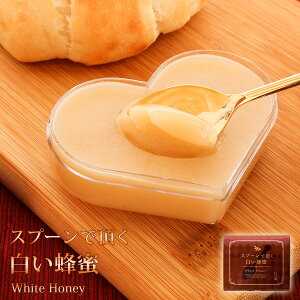 y\񏤕i12{zXv[ŒIi݂jNX}X Ε Mtg