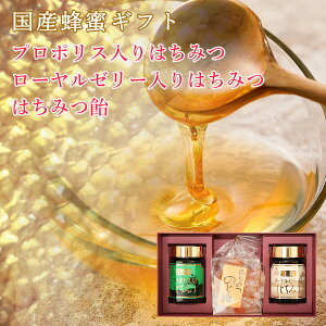 [[[݂͂ v|X݂͂ IMtg