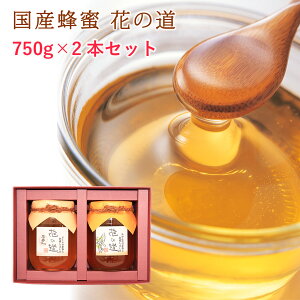 YI Ԃ̓ 750g×2{ Mtg