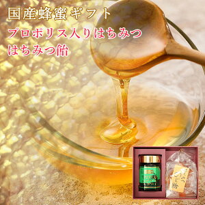 v|X݂͂Ƃ݂͂Mtg