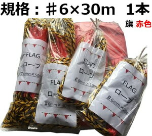 FLAG[v  6×30m tg[v 搮 ʘHm Ԏd؂ ӊN ֎~ t[v W[v