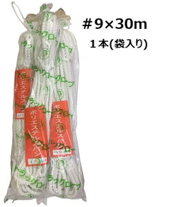 |GXeXpgbN[v 9×30m@gbN[v ג ׂ |GXe[v  H El ҂ ACXvCX ܕ҂