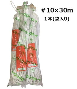 |GXeXpgbN[v 10×30m@gbN[v ג ׂ |GXe[v  H El ҂ ACXvCX ܕ҂