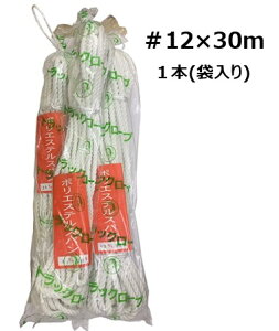 |GXeXpgbN[v 12×30m@gbN[v ג ׂ |GXe[v  H El ҂ ACXvCX ܕ҂