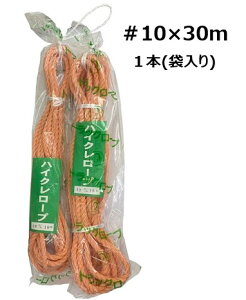 nCNgbN[v #10×30m@gbN[v _ ы ג ׂ nCN[v  H El ҂ ACXvCX ܕ҂