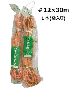 nCNgbN[v #12×30m@gbN[v _ ы ג ׂ nCN[v  H El ҂ ACXvCX ܕ҂