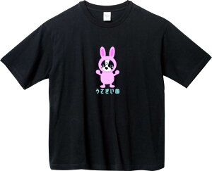  {XgeA BIGTVc 5.6IXwBEFCgTVc vgTVc IWiTVc   2g LN^[  L[g 킢