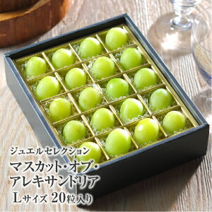 マスカット オブ アレキサンドリア ジュエルセレクション Lサイズ 20粒 岡山県産 蒲萄 ブドウ