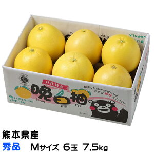 Ε ݂ ӔM ΂؂ Gi MTCY 6 7.5kg F{Y JA ~J  Mtg 