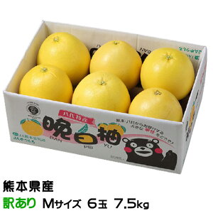 Ε ݂ ӔM ΂؂ 󂠂 MTCY 6 7.5kg F{Y JA ~J  Mtg 