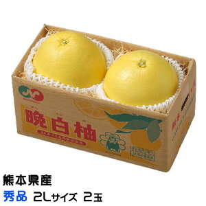 Ε ݂ ӔM ΂؂ Gi 2LTCY 2 F{Y ϔ k@ Mtg 