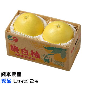 Ε ݂ ӔM ΂؂ Gi LTCY 2 F{Y ~J  Mtg 