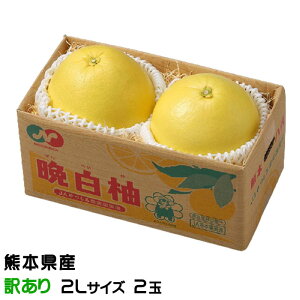 Ε ݂ ӔM ΂؂ 󂠂 2LTCY 2 F{Y ϔ k@ Mtg 