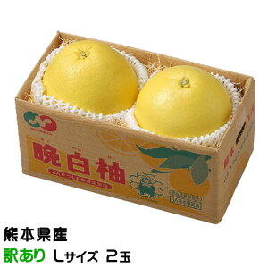 Ε ݂ ӔM ΂؂ 󂠂 LTCY 2 F{Y ϔ k@ Mtg 