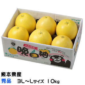 Ε ݂ ӔM ΂؂ Gi 3L`LTCY 10kg F{Y ~J  Mtg 